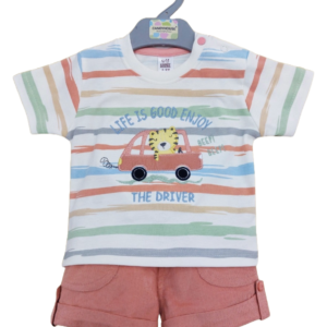 Baby Boy T-shirt and short casual wear ( 2pcs)