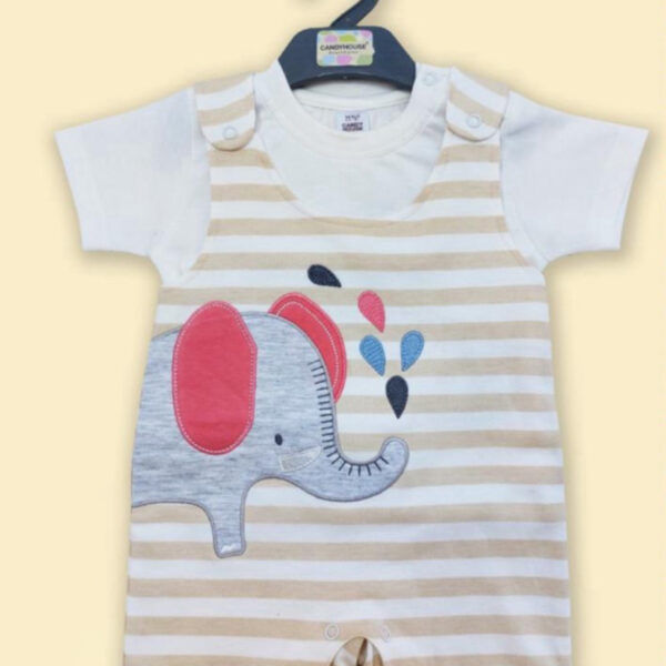 Baby boy or girl/ elephant printed out fit