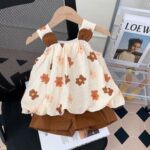 Brown casual frock and shorts set