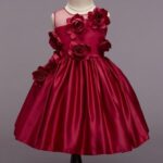 Girls Red Sleeveless Floral Applique Party Dress