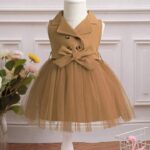Baby Girls Sleeveless Organza Dress