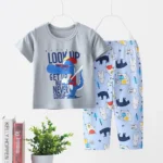 Baby boy /night wear / grey t-shirt with long pant /2pcs