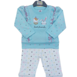 Baby girl / Green long sleeves and pants featuring a print of small animal and the word loved embroidered on the t-shirt (2pcs)