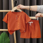 Baby girls and boys / Burnt sienna twin outfit casual wear (2pcs)